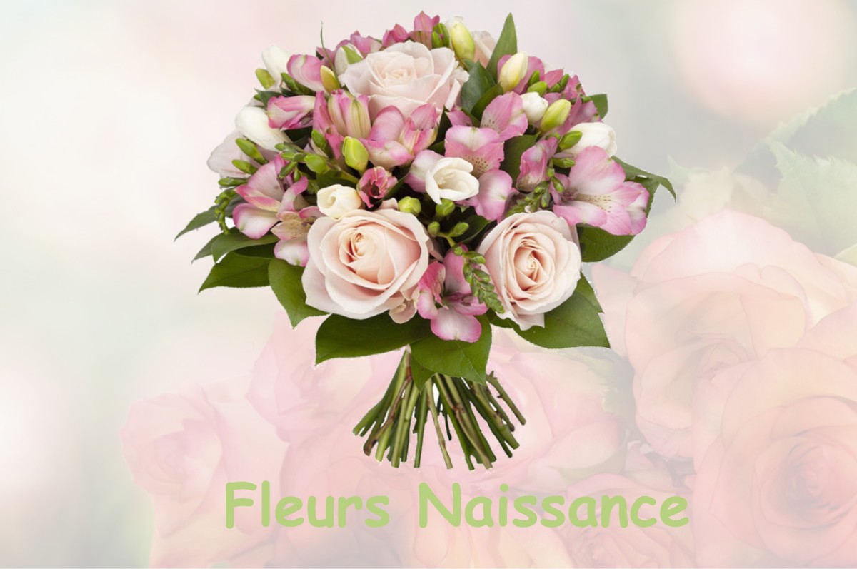 fleurs naissance VAUX-MARQUENNEVILLE